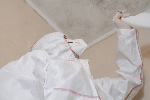 Best Residential Mold Remediation in Fort Riley, KS